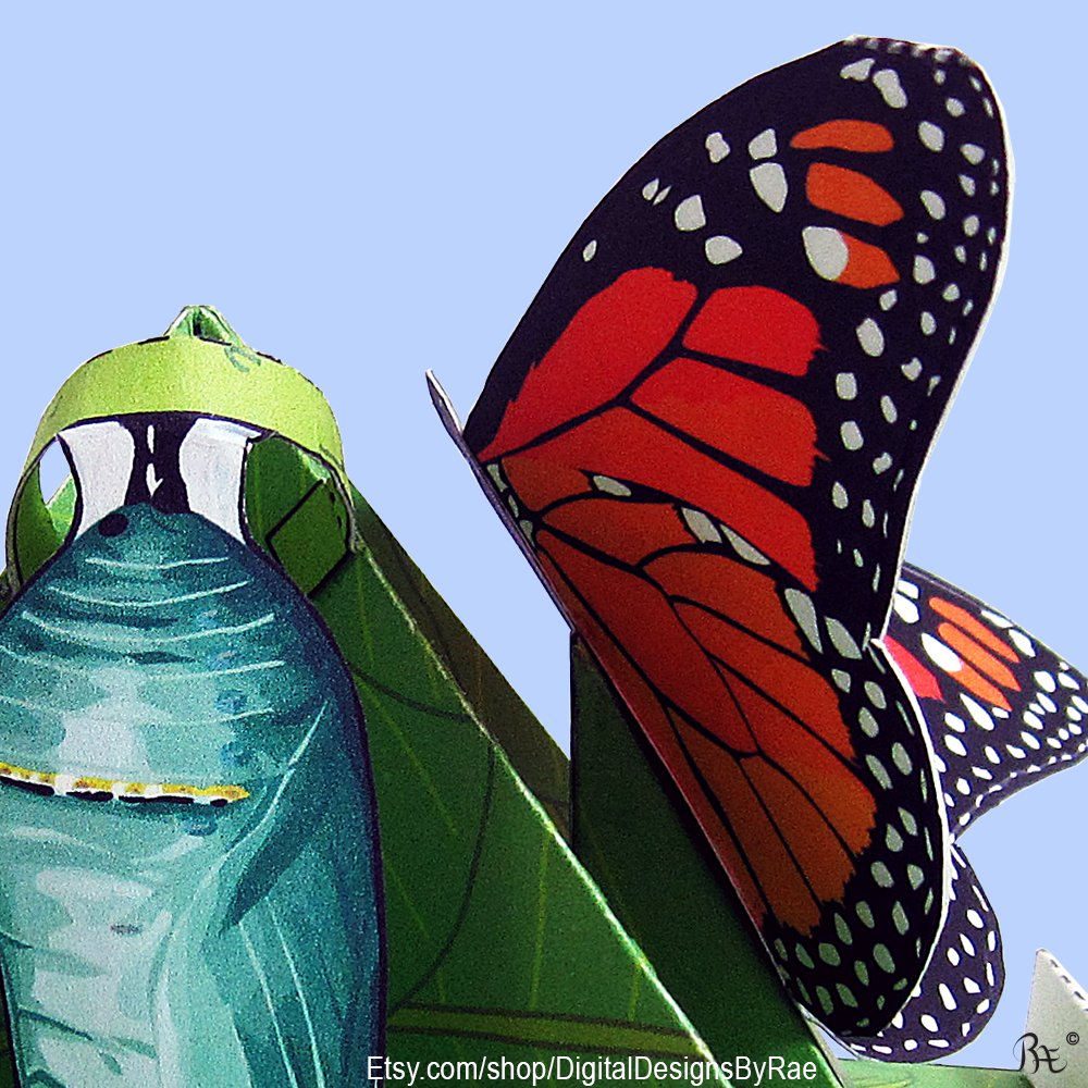 Rae_didit's tweet photo. The Monarch butterfly life cycle educational model! https://t.co/qSrNbw15B1 #butterfly #Monarch #quadrama #lifecycle #STEM #STEAM #learningtoy #educationalprintable #Etsy https://t.co/7ZOWXYqbup