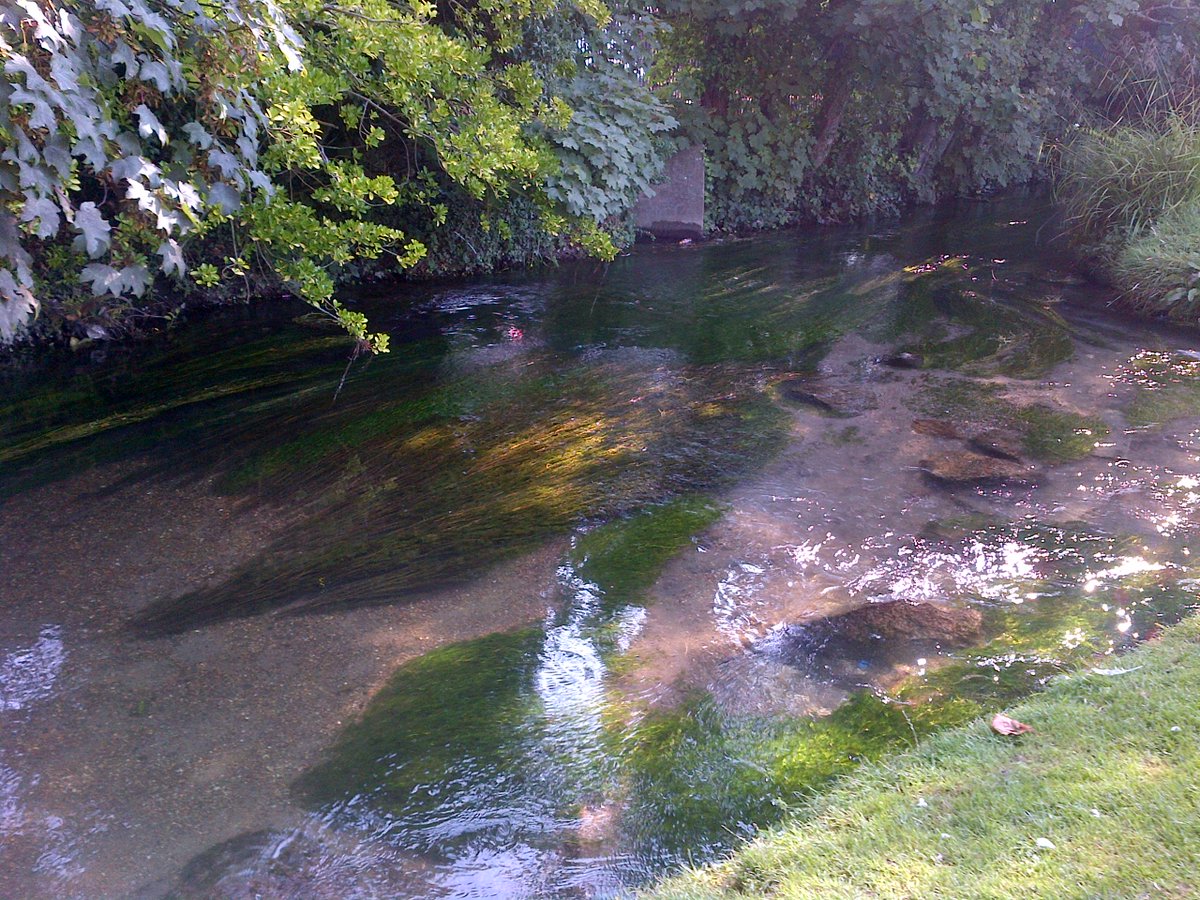 Join our mini pilgrimage along the River Dour from the #MaisonDieu to the Breakwater Brewery this evening from 6pm. At the end participants are invited to take part in the Dover launch of the #KentPilgrimsFestival <a href="/Breakwater304/">Breakwater Brewery</a>