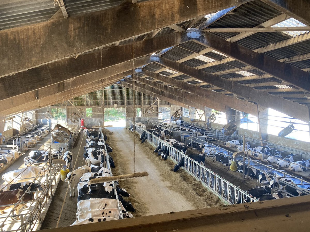 Salondelagri's tweet photo. Aujourd’hui l’ensemble de l’équipe du @Salondelagri a la chance d’être reçue par Laurent Buisson et Dominique Tristant pour une visite de la @FermeDeGrignon ! https://t.co/gaYeNAf8n2