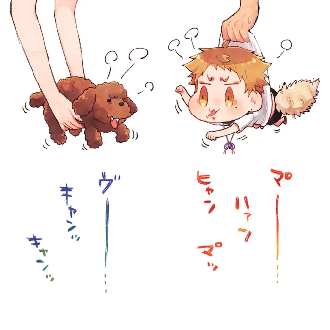 といぷとぷしみ 