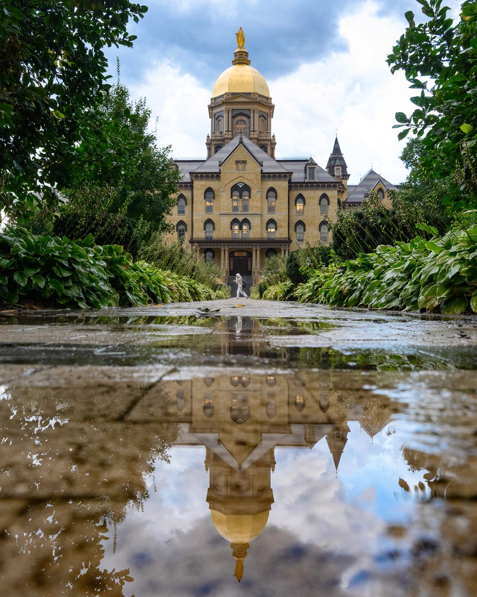 "Hm...it's raining...do I have time for a 'Dome in a puddle' photo? Of course I do!"