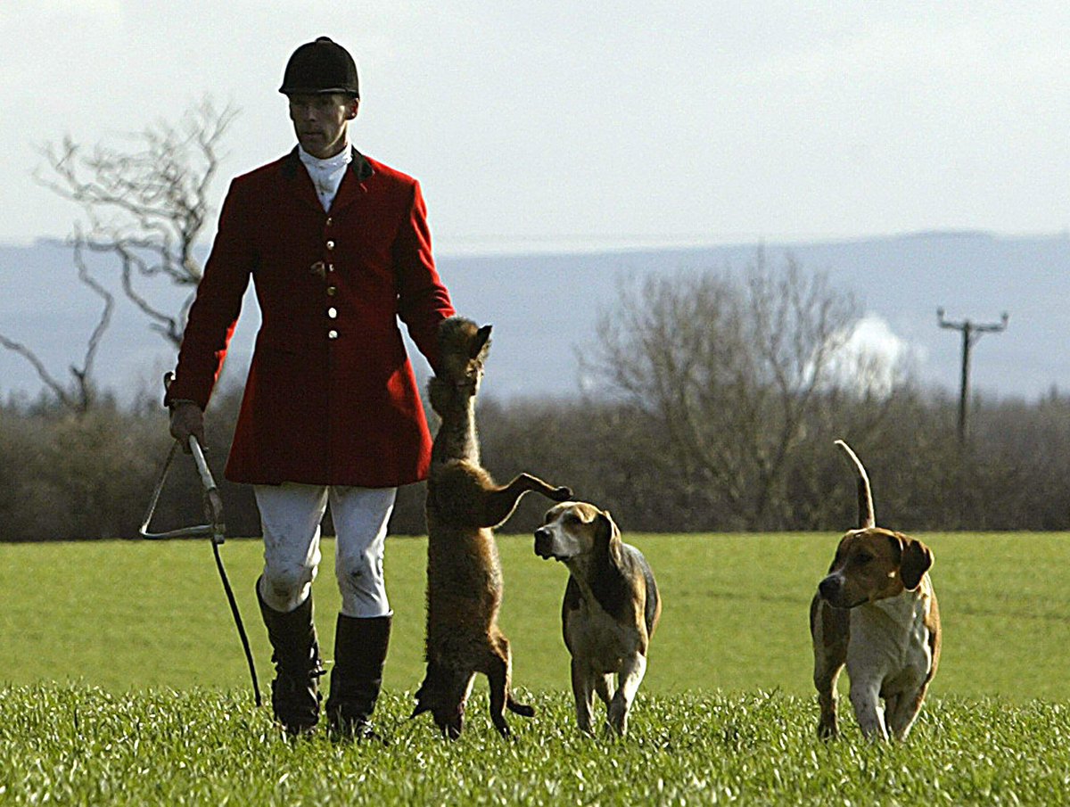 Well said! RT if you agree with the brilliant 
<a href="/JohnBishop100/">John Bishop</a>

“I cannot understand anyone who kills another living thing for ‘sport’ and fox hunting with its inherent cruelty should never be acceptable in any society that values compassion.”