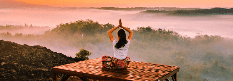 bloomerang tweet media