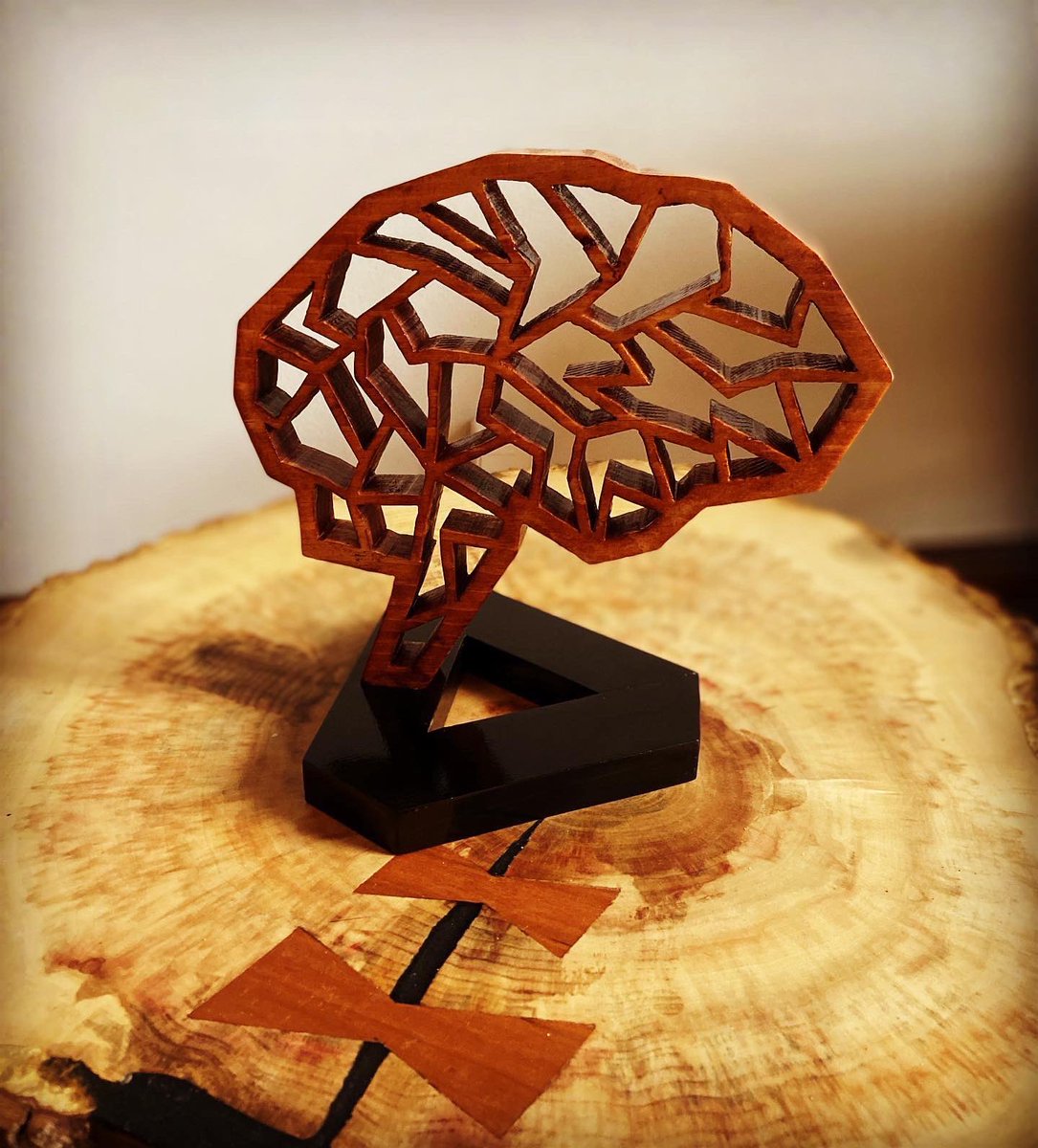 RobinsonWoodLab's tweet photo. #Fractured #Wood #Brain #Art #Neuroscience https://t.co/nZ0vKUeqpv