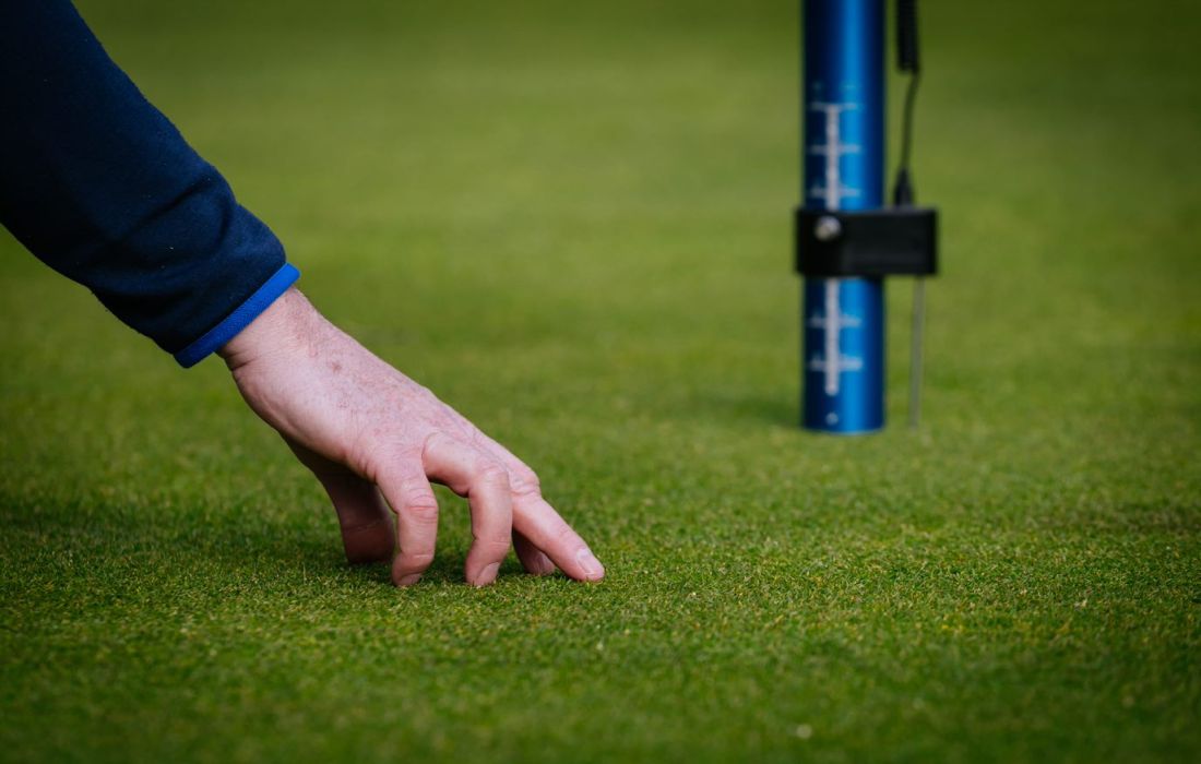 BIGGALtd's tweet image. Greenkeeping Career Opportunity - Head Greenkeeper  
@TurfgrassC Switzerland
bigga.org.uk/career/greenke…