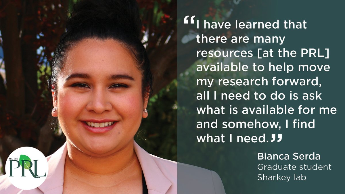 Graduate student @bianca_serda from the Sharkey lab and <a href="/MSU_BMB/">MSU Biochemistry & Molecular Biology</a> shares her experience at the #MSUPRL. Her research looks at the underlying mechanisms of the protective role of isoprene against ozone stress. buff.ly/3RXT5Gm