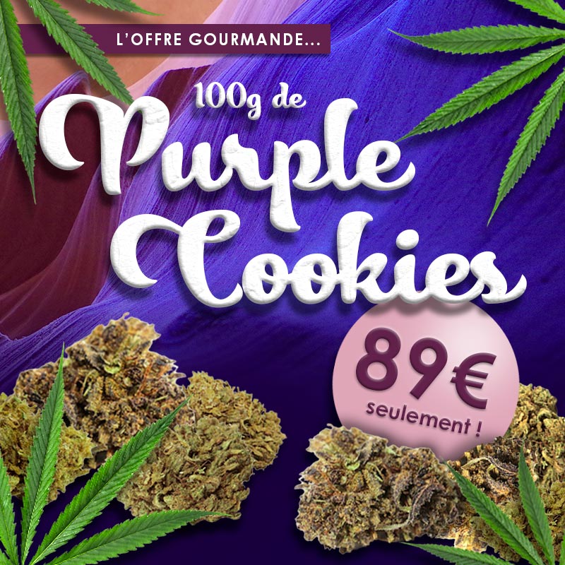 side_weed's tweet photo. L'offre est en ligne !!! 🏷
Retrouvez la Purple Cookies à moins de 1€ le gramme🍇
RDV sur Weed Side Story 🌿
https://t.co/oa7PefdVjh😉🥦
#purplecbd #weedsidestory #hemp #cbdshop #cbdfrance #franceverte #cbdfr #cbdmovement #cbdproducts #cbdflowers #fleursdecbd #cbdshoponline https://t.co/RlFaHA4MtS