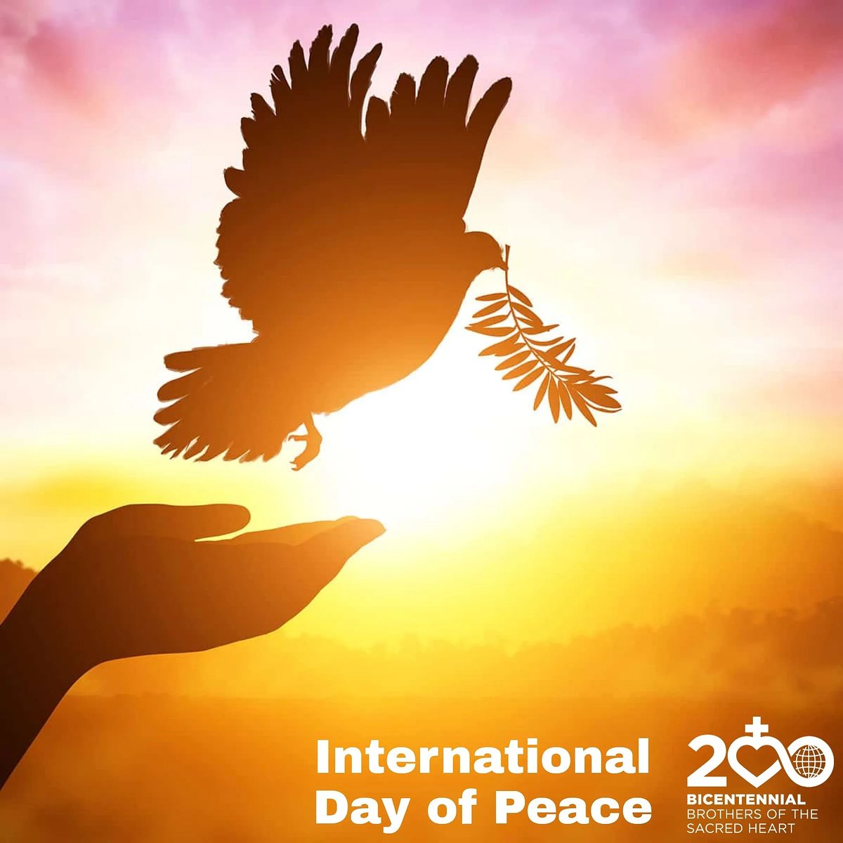 corjesu_en's tweet photo. Each year the International Day of Peace is observed around the world on 21 September. 

The 2022 theme for the International Day of Peace is “End racism. Build peace.”  #PeaceDay2022 #PeaceDay https://t.co/UQaLIzXEBV