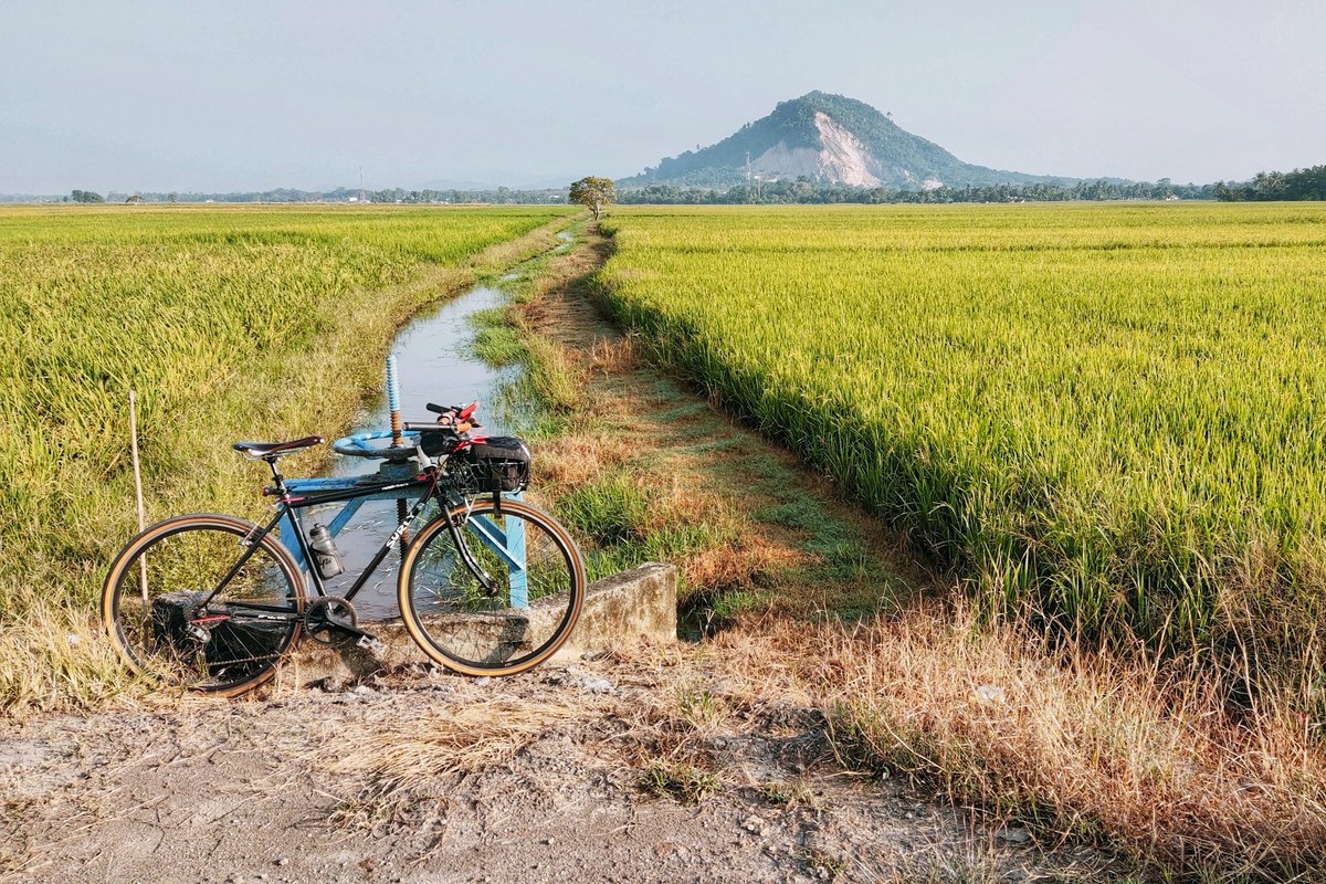 northern_8eat's tweet photo. Nice and easy with #surly #surlybikes #surlycrosscheck https://t.co/QEbFARmRvf