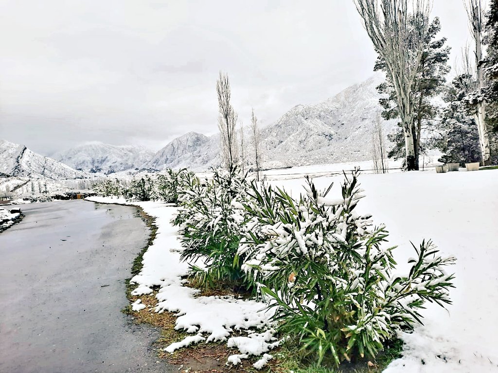 ViveLosAndes's tweet photo. !Feliz Primavera🌸🌼¡ Así nos recibió el 21 de setiembre en algunos sitios de #Mendoza 🌨❄
Acá viajeros alojados en el Gran Hotel Potrerillos comparten su experiencia. https://t.co/LlJ4pUgnuq