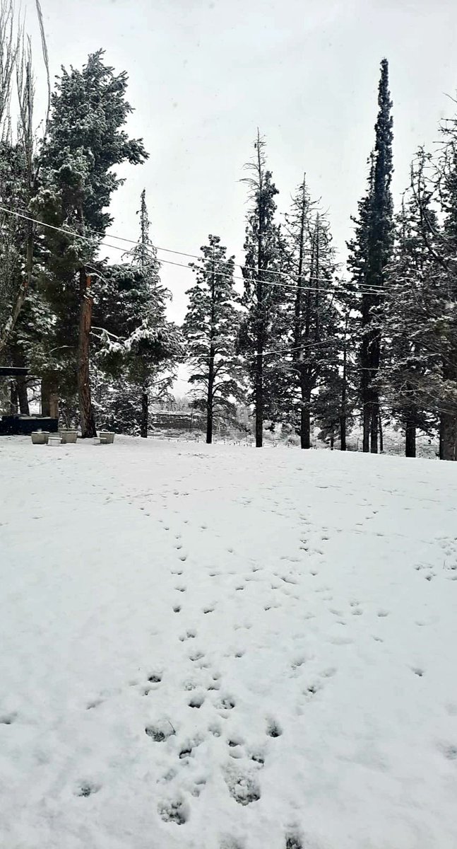 ViveLosAndes's tweet photo. !Feliz Primavera🌸🌼¡ Así nos recibió el 21 de setiembre en algunos sitios de #Mendoza 🌨❄
Acá viajeros alojados en el Gran Hotel Potrerillos comparten su experiencia. https://t.co/LlJ4pUgnuq