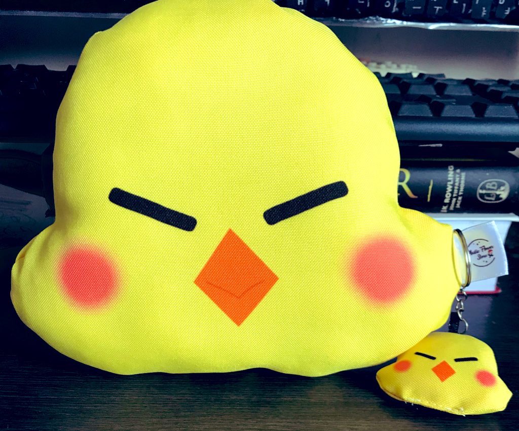 Finalmente fui pra minha cidade e consegui pegar pra tirar fotinhas desse mimo que recebi da <a href="/leedobr_/">LEEDO BRASIL 🐥🇧🇷</a> <a href="/PlasticFlowerLj/">Plastic Flower Personalizados</a> 
O aniversário foi do leedo, mas quem ganhou presente foi eu 🥰 mto obrigada, td lindo e com mto capricho ❤️❤️❤️❤️🥹🥹