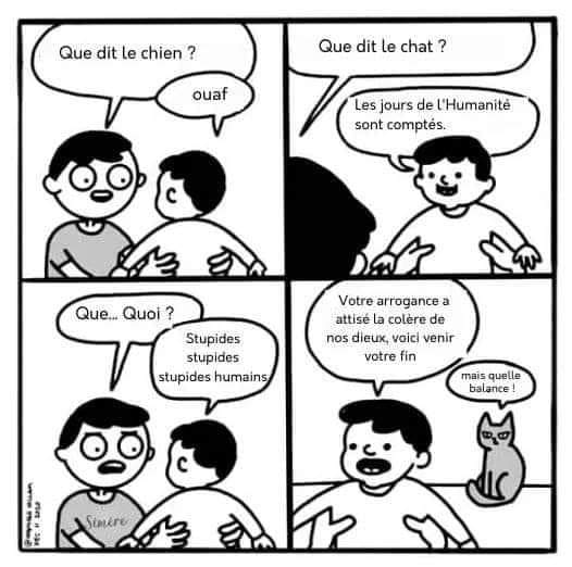 ComplotsFaciles's tweet photo. #NousChatons (redif) https://t.co/5BV2jKh1hA