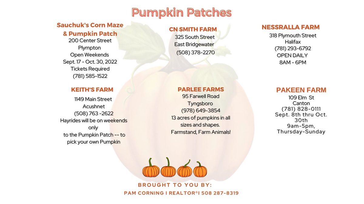 Did I leave any out that you've been too that are fairly local? If so, let me know! C&C Reading in W Bridgewater announced they weren't doing the Fall Festivities this year but have pumpkins. 

#plymouthcountyliving #fallfun #pamcorningrealtor #plympton #pumpkinpatch