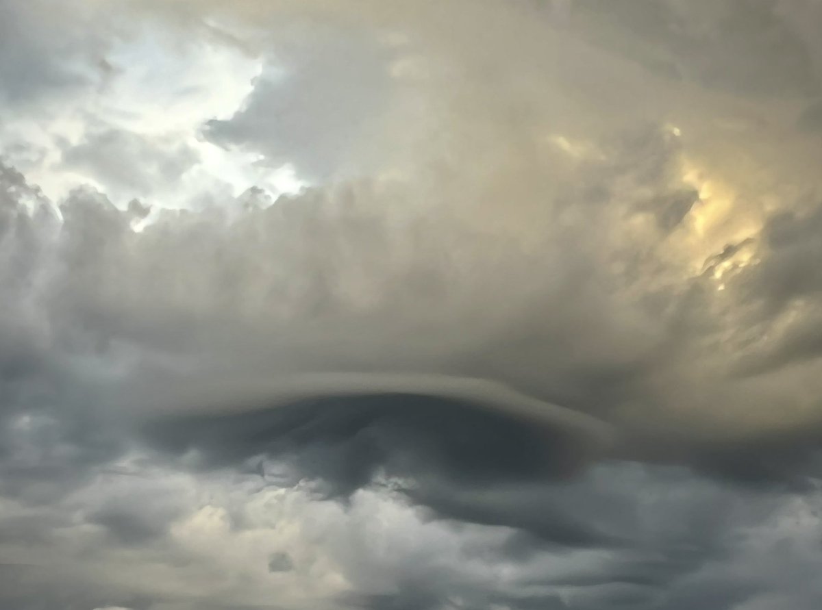 wine-stained lens tweet media