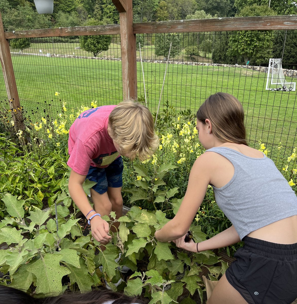 Nora Harnett tweet media