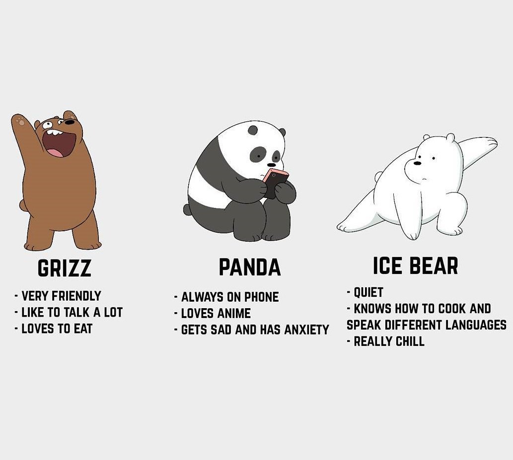 Панда Bear Bears