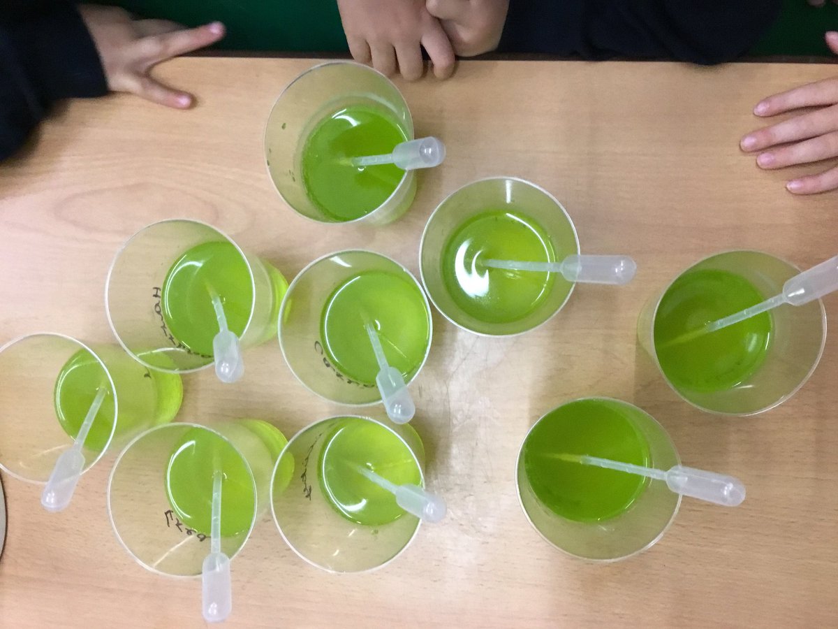 OPSScience's tweet photo. The first Inspiration Labs this year see @OPS_OratoryPrep Reception learning about their senses. We've been investigating ultraviolet light and making yummy glow in the dark jelly! #STEMeducation #inspirationlab https://t.co/Jo5VxK1x1g
