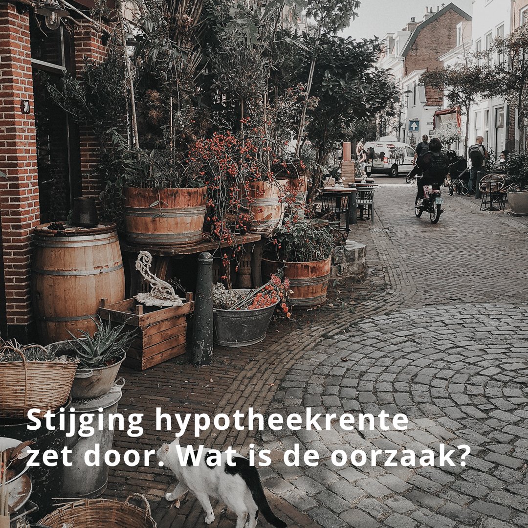 hypotheek023's tweet photo. Na een daling in de zomermaanden stijgt de hypotheekrente sinds drie weken weer fors. De oorzaak van de renteverhogingen moet gezocht worden bij de sterk teruggelopen rentemarge. Meer info: https://t.co/FLesuL2tE4  #hypotheekrente #huiskopen #verbouwen #oversluiten #onderzoek https://t.co/OM0F4J9tp6