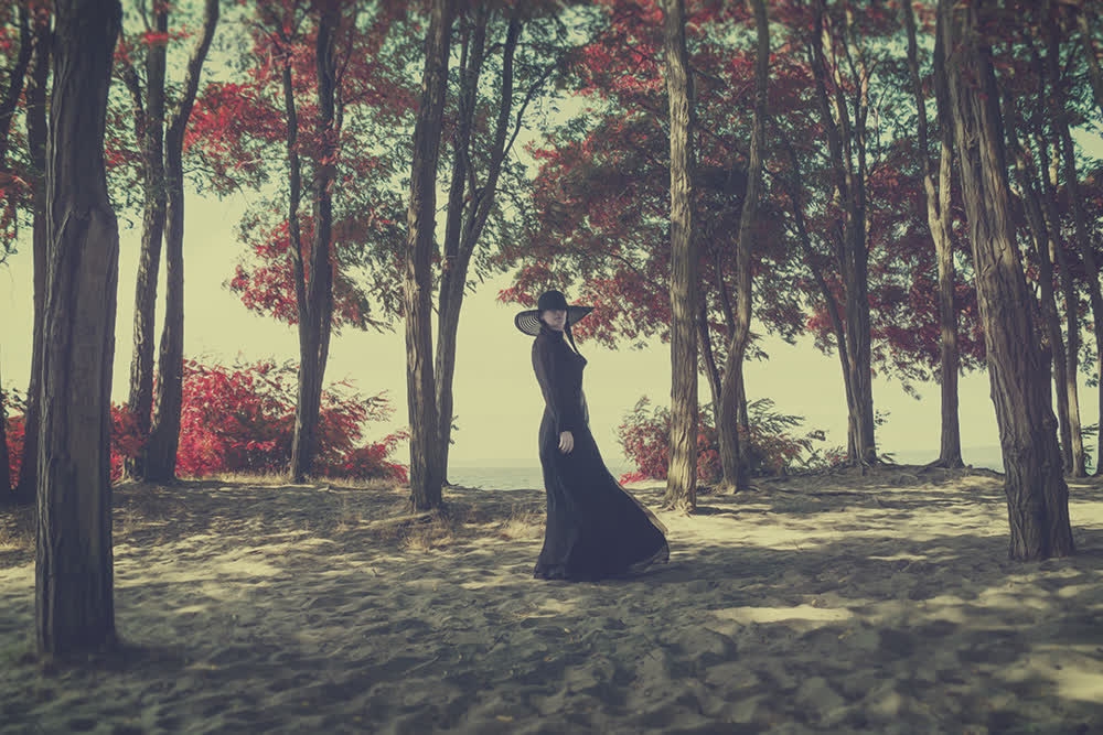 ladymisselle's tweet photo. storyteller⠀
🌙⠀
I have been quiet.⠀
But I still have stories to tell...⠀
🌙⠀
#fineartphotography https://t.co/7rt7jh4mIF