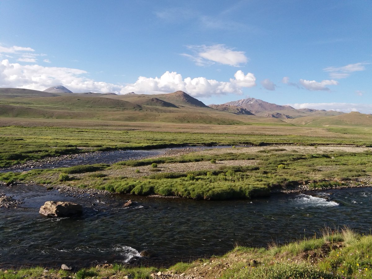 darjatmd's tweet photo. #Deosai & #Sheosar Lake form one of the highest elevation #freshwater #wetlands in the world. The cold alpine environment is important due to its diverse alpine flora and the rich variety of species.... https://t.co/PTmo88nvzv.. https://t.co/r5ejd58N4Q