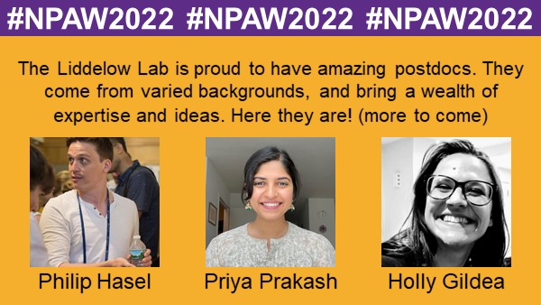 Shane Liddelow 🍊 tweet media