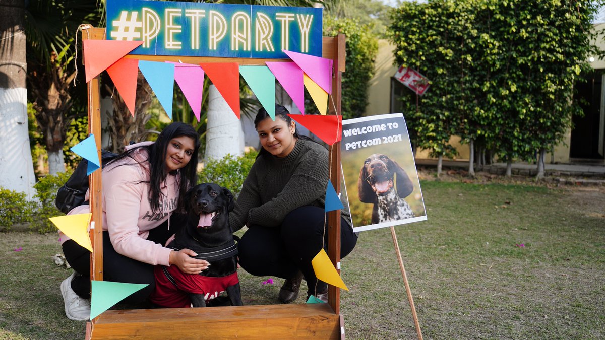 PETCOM2021's tweet photo. Petcom, Meerut's largest pet festival🐶🥁🎉, establised in 2021 with the idea to give pet lovers an opportunity to celebrate their love for animals. 

Here are some glimpses of our successful previous year. 
#petexpo #petcarnival #adoptdontshop #petshopping #petevent #petfair https://t.co/2pQAoV2ugl