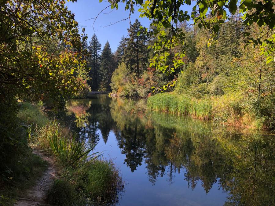 GleaningsWord's tweet photo. Have you forgotten the importance of stillness in life?
https://t.co/htESg07lyV
#Stillness #peace #meditation #whatcomcreek #bellingham #whatcomfalls #gleanings #devotional #fallcolors #ENCOURAGEMENT https://t.co/VVNSdSDVlF