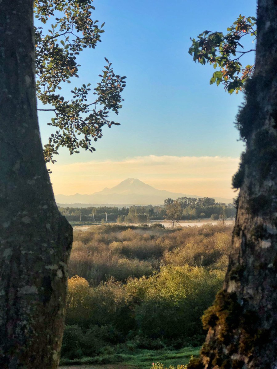 Grove Ayers tweet media