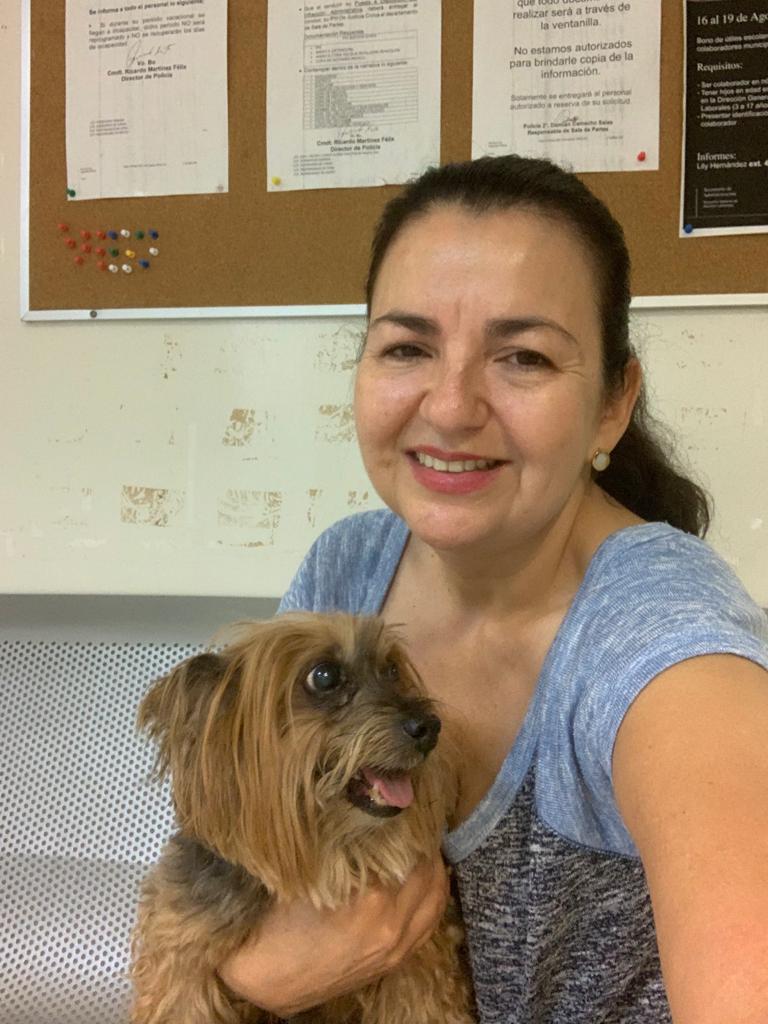 Ya está con su familia Harry , lo encontró la policía está madrugada entre la maleza en la lateral de Lázaro Cárdenas <a href="/MAGS_SP/">MAGS_SP</a> <a href="/LoQuePasaEnNL/">@QuePasaEnNL ®️</a> <a href="/MtyFollow/">MtyFollow®</a> <a href="/nelvaldez/">Nelson Valdez</a> <a href="/elnorte/">EL NORTE</a> <a href="/ABCNoticiasMX/">ABCNoticias.mx</a>