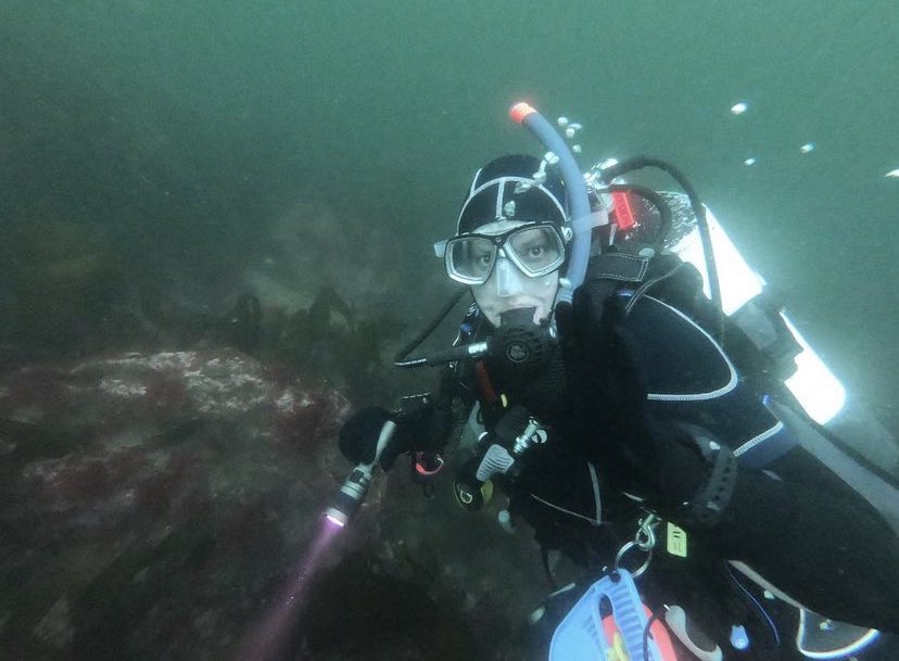 DCU Sub Aqua Club tweet media