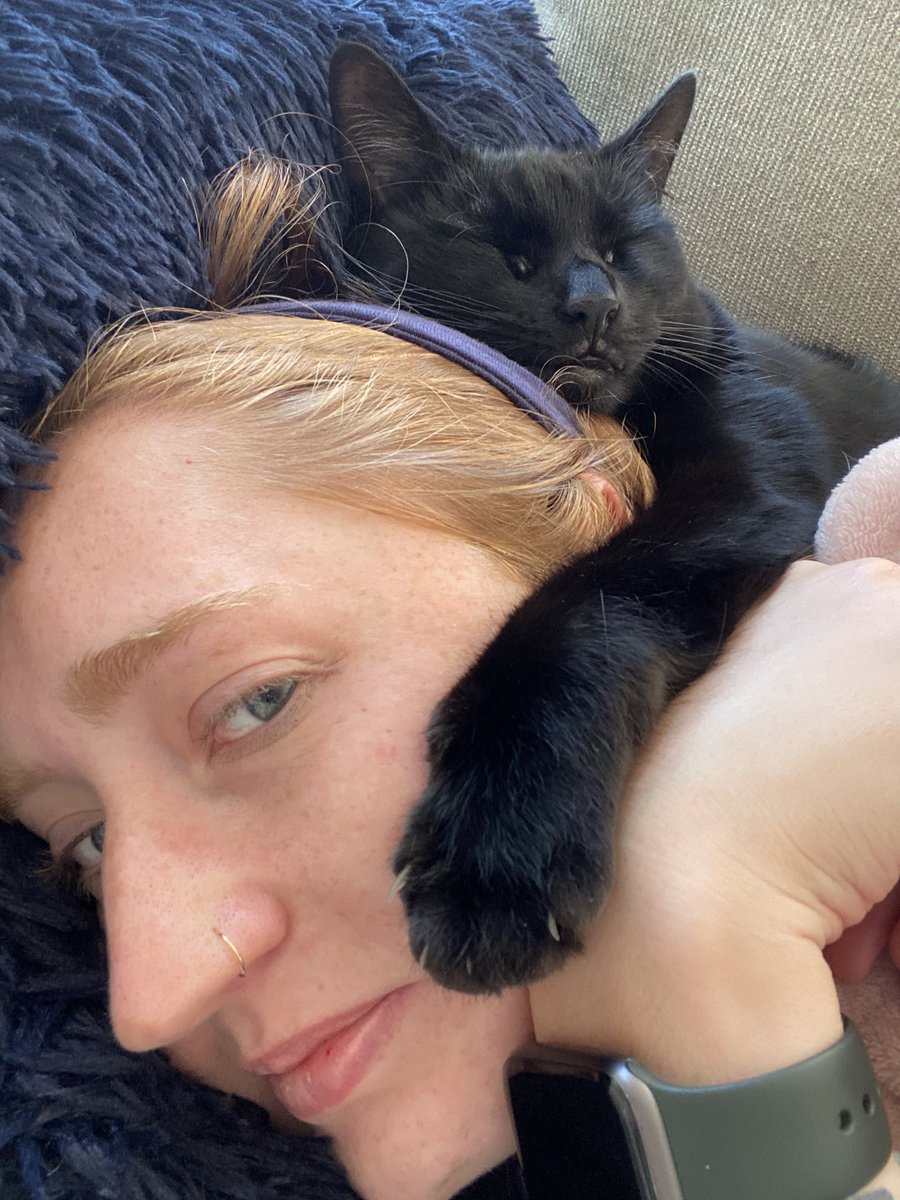 knburchard's tweet photo. 2 years ago today I brought home my little monsters 🥹💕 https://t.co/qOVa80URqs