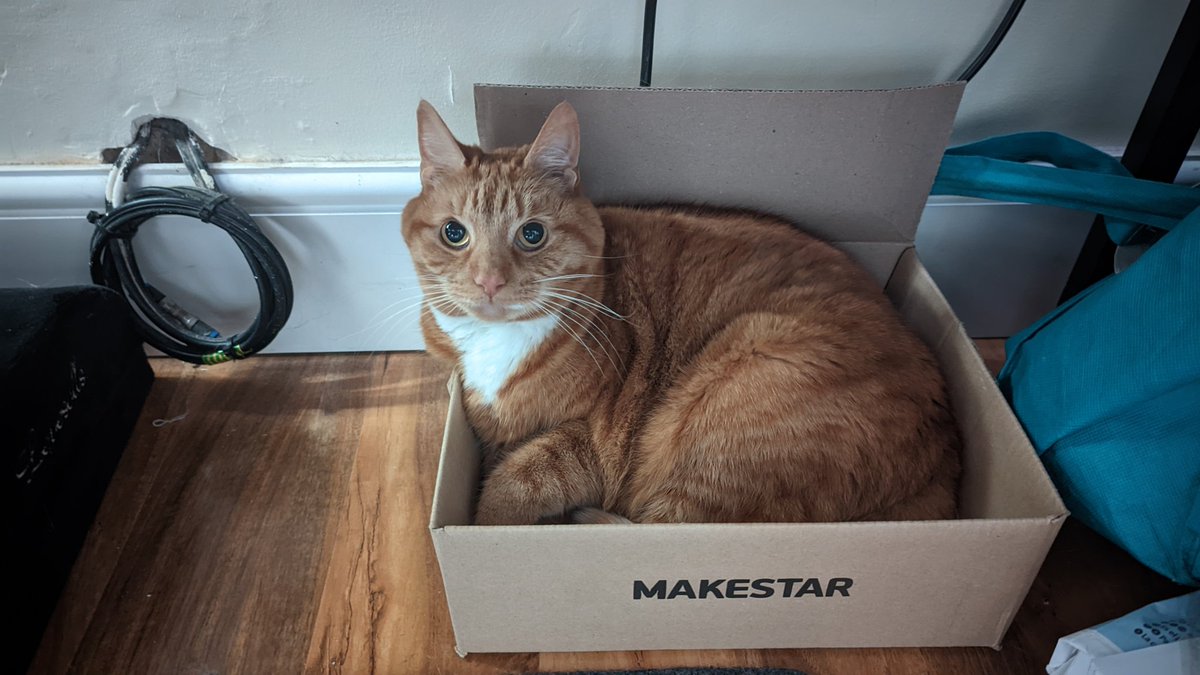von_b's tweet photo. Peezle in a box #dailypebbles https://t.co/R0qhyzhFeL