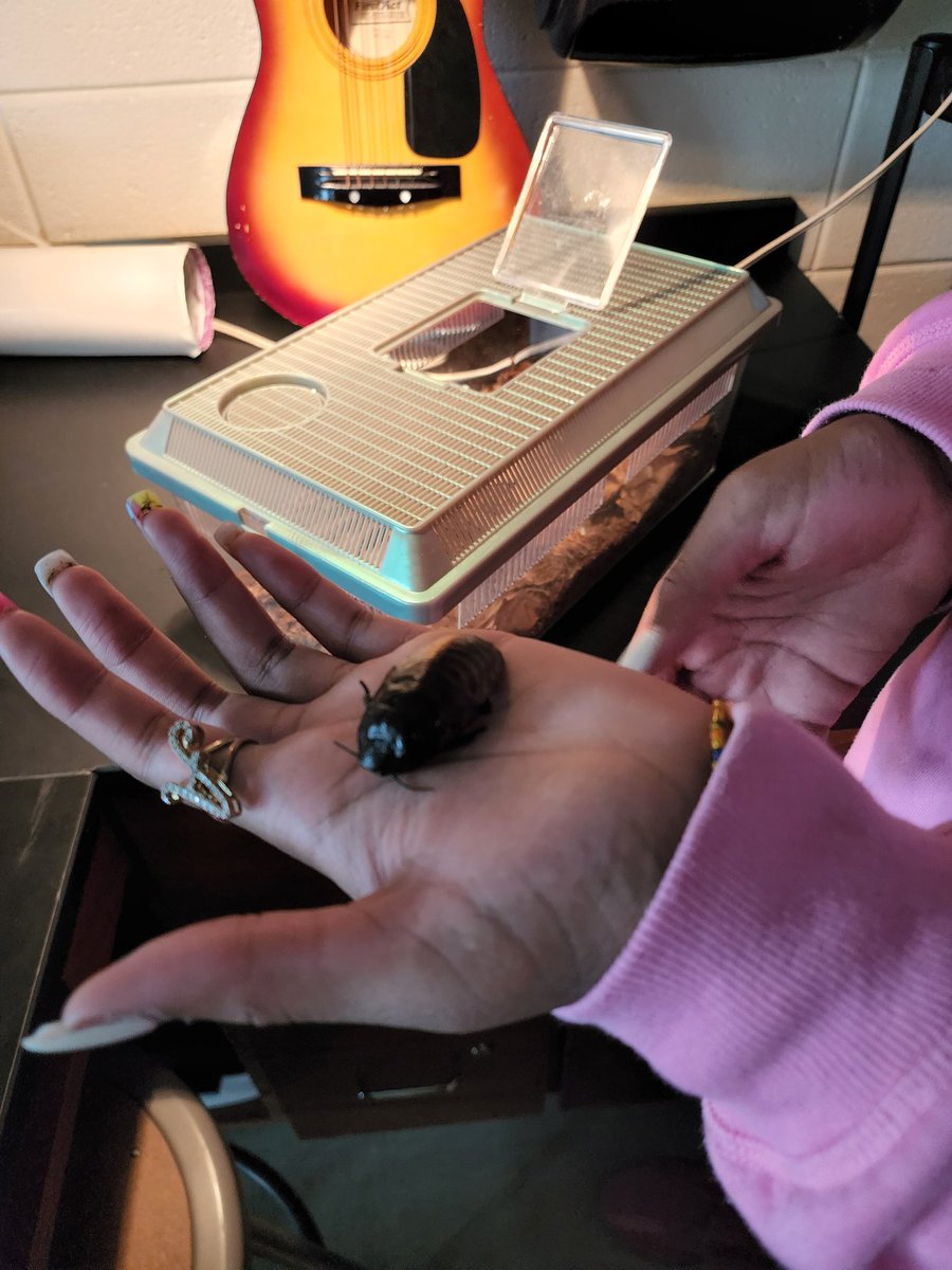 MsWoolson's tweet photo. What's been happening in Science so far this year? Take a look! 
S's enjoyed observing and petting some Madagascar hissing cockroaches, while welcoming them back to the Lake! #livingthings #dontbeafraid #Entomology @hcpss_wlms @HCPSS @mjmsuper https://t.co/o3BjTWdEok