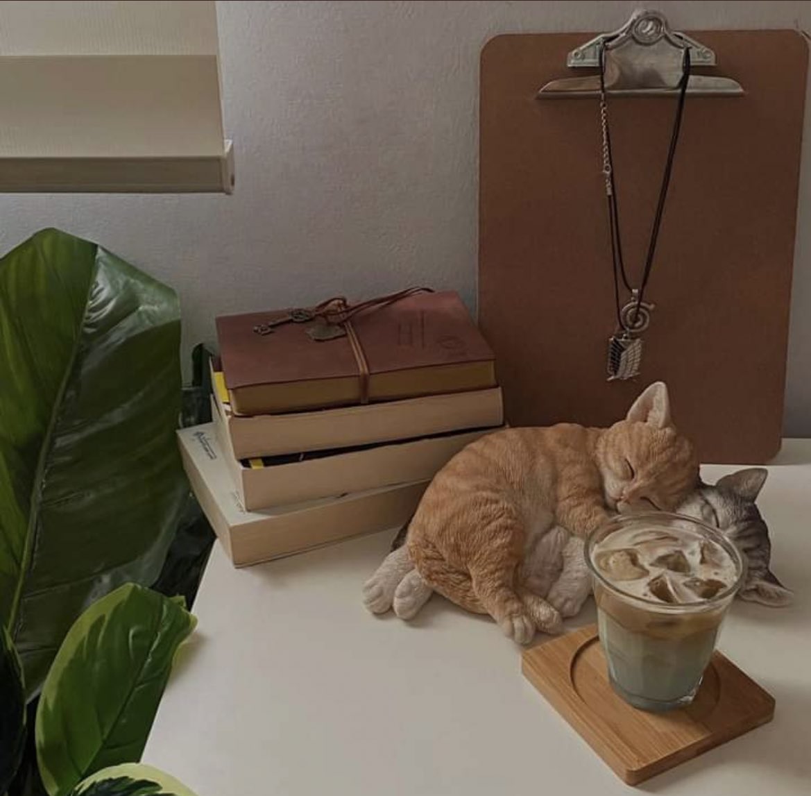 tora🐱🐾 tweet media