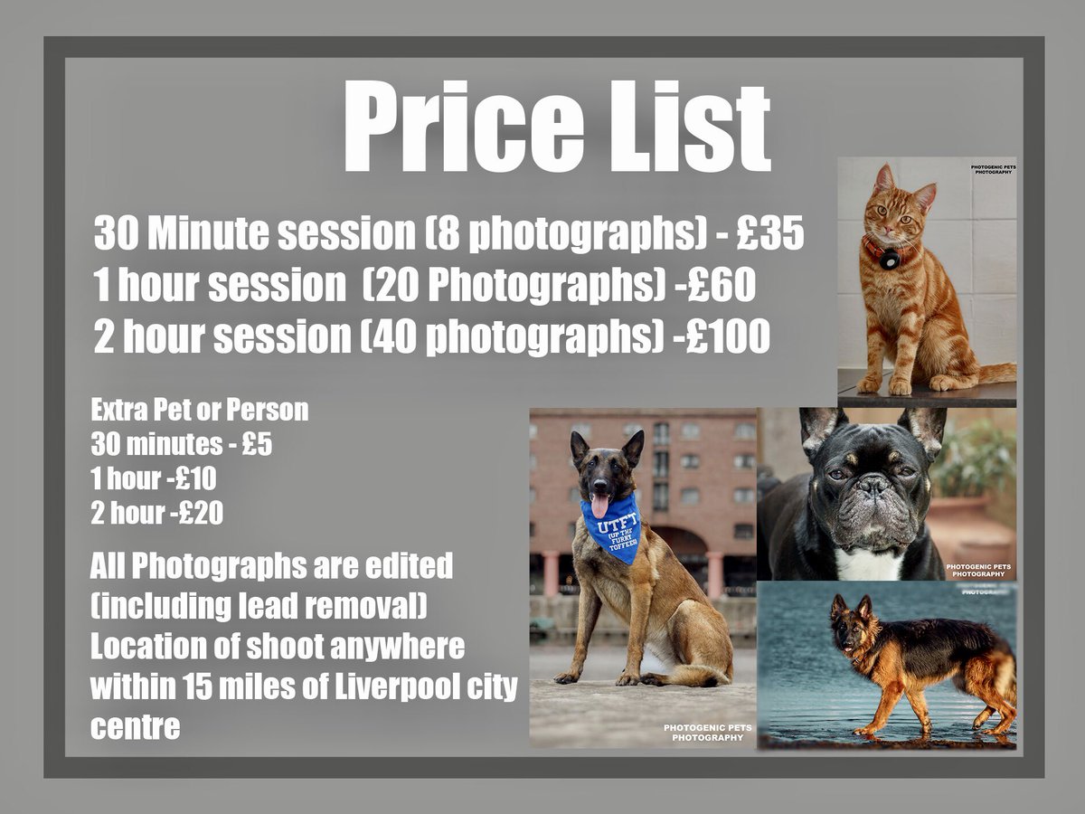 MaliMyra's tweet photo. Instagram @ Photogenic_pets_ 
Facebook @ photogenicpetsphotography https://t.co/SEosvVmghF
