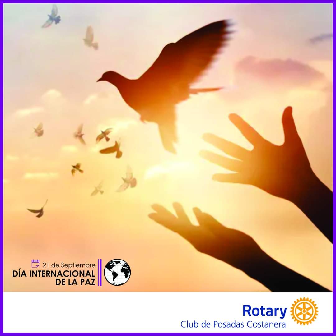 Rotary Club de Posadas Costanera tweet media