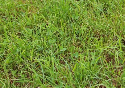 mijnkringloopwijzer.nl/actueel/nieuws…