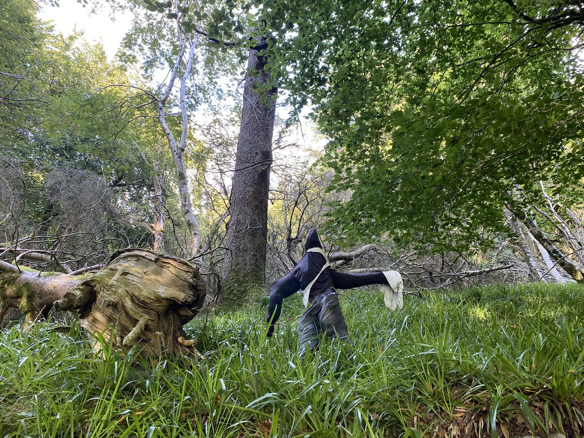 This view....enough to scare you as you exit Massy's and enter Cruagh Woods! 😱#wednesdaythought #Halloween2022 #scary #ThePhotoHour <a href="/TheWildMassy/">The Wild Massy 🌳</a> <a href="/deric_tv/">Deric</a> <a href="/DubMountains/">Dublin Mountains Partnership</a>