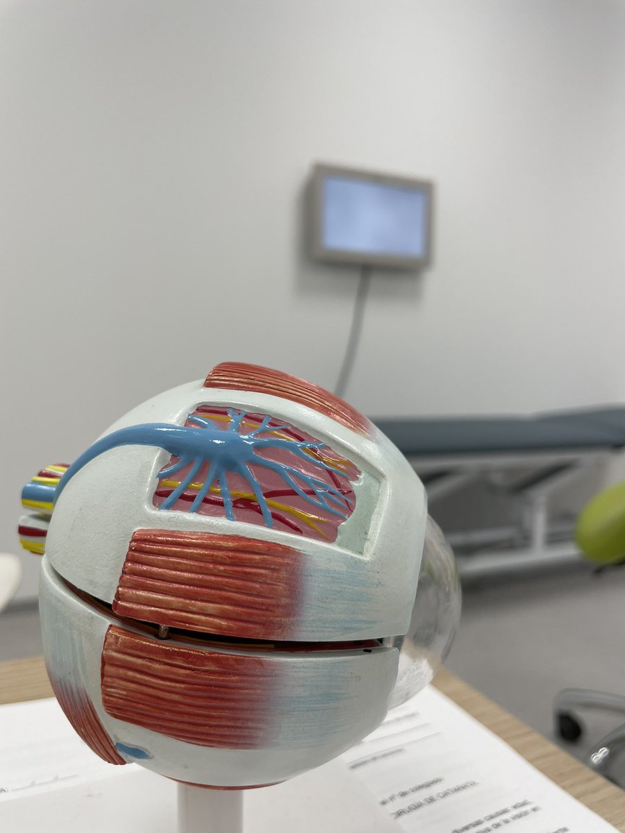susandsons's tweet photo. I love my job  #ophtalmology https://t.co/XZVNhoFqvd