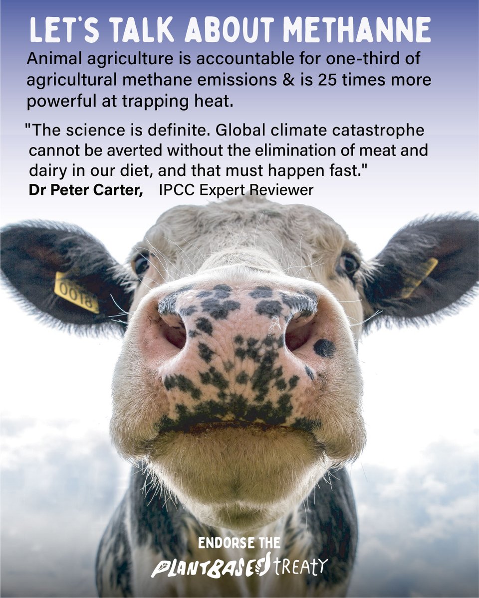 <a href="/MapleLeafs/">Toronto Maple Leafs</a> This is a terrible decision.
Do you really think by teaming up with Dairy that you are supporting healthy and active living?