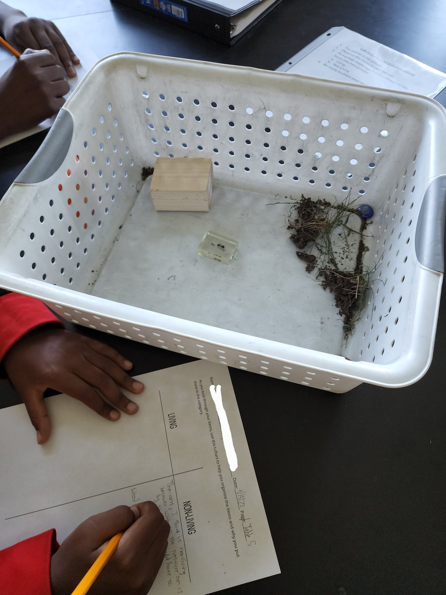 MsWoolson's tweet photo. 7th Grade has been engaging in discourse and investigation in order to characterize living things! #middleschool #lifescience #discourse #handson @hcpss_wlms @hcpss https://t.co/42dLH8LeUN