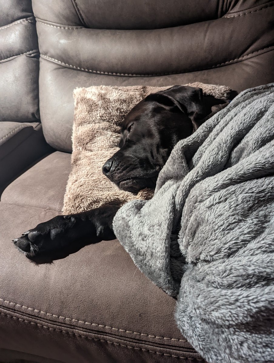 Harms (@harmswahy_) on Twitter photo 