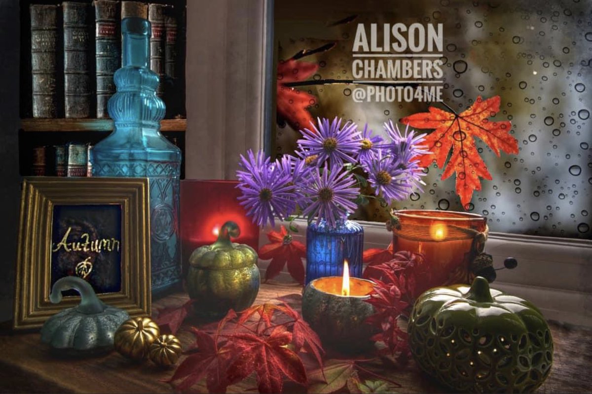 AlisonC24426188's tweet photo. Still Life Autumn Window©️Alison Chambers2022. https://t.co/ds3d1lB7Ny &amp; https://t.co/VUdgDm2tQa &amp; https://t.co/KdKjLoxV3s #autumnvibes #autumn #stilllifephotography #darkacedemia #autumneasthetic #falldecor    10% off at Photo4Me. (Low res sm version). https://t.co/IElXCEC7mQ