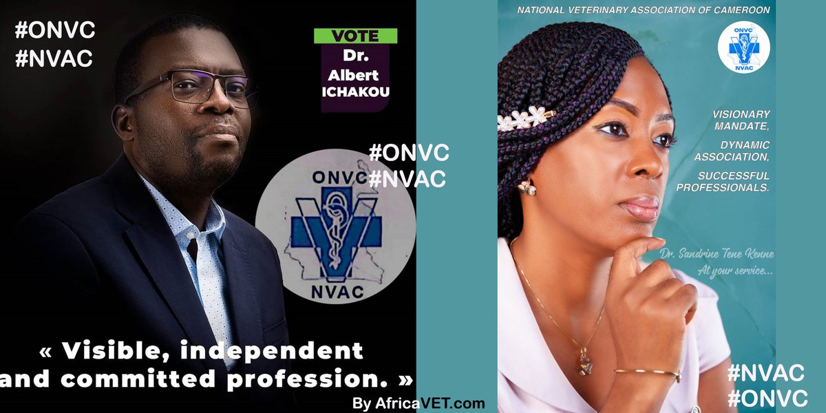 africavet's tweet photo. #HappingNow : #Cameroon - Election to the National Veterinay Association of Cameroon (#NVAC).
#Africavet
#ONVC
@au_ibar
@WOAH_Global https://t.co/DgDbM6zhYr