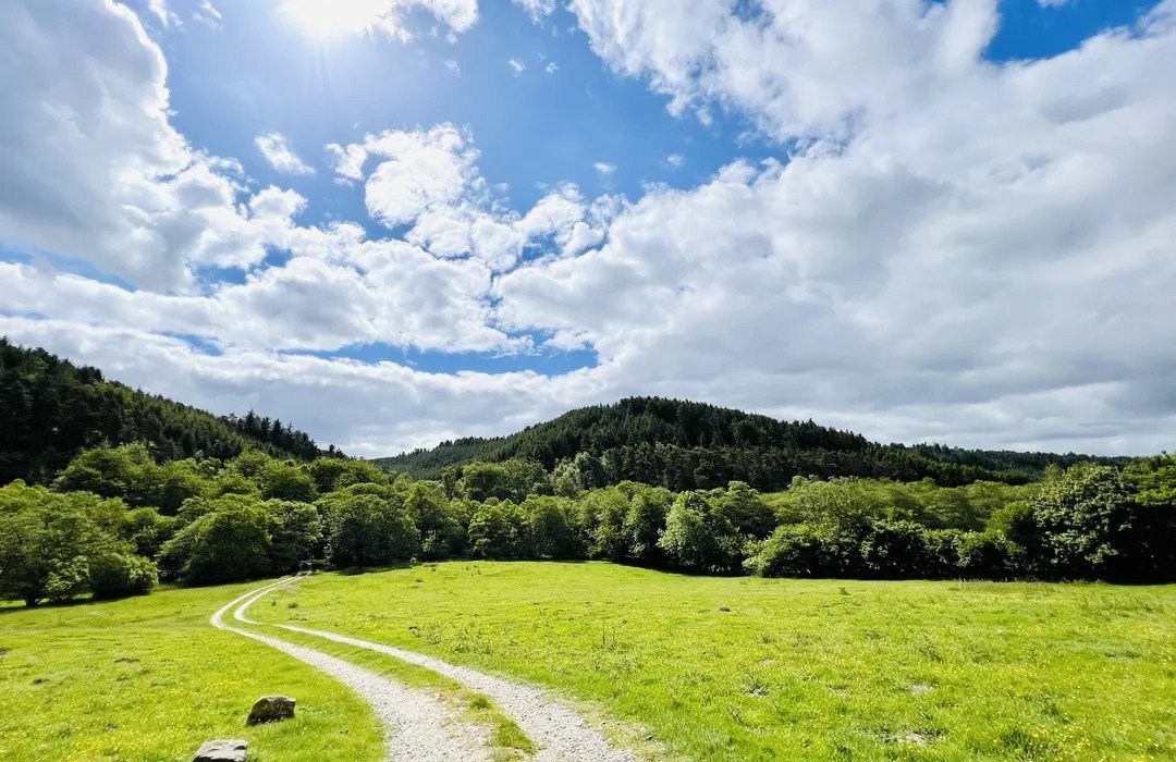 VisitPickering tweet media