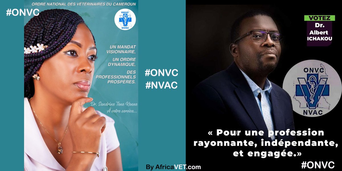 africavet's tweet photo. #Encours : #Cameroun - Election à l'Ordre National des Vétérinaires du Cameroun (#ONVC).
#Africavet
#NVAC
@au_ibar
@WOAH_Global https://t.co/b9csRwyiGh