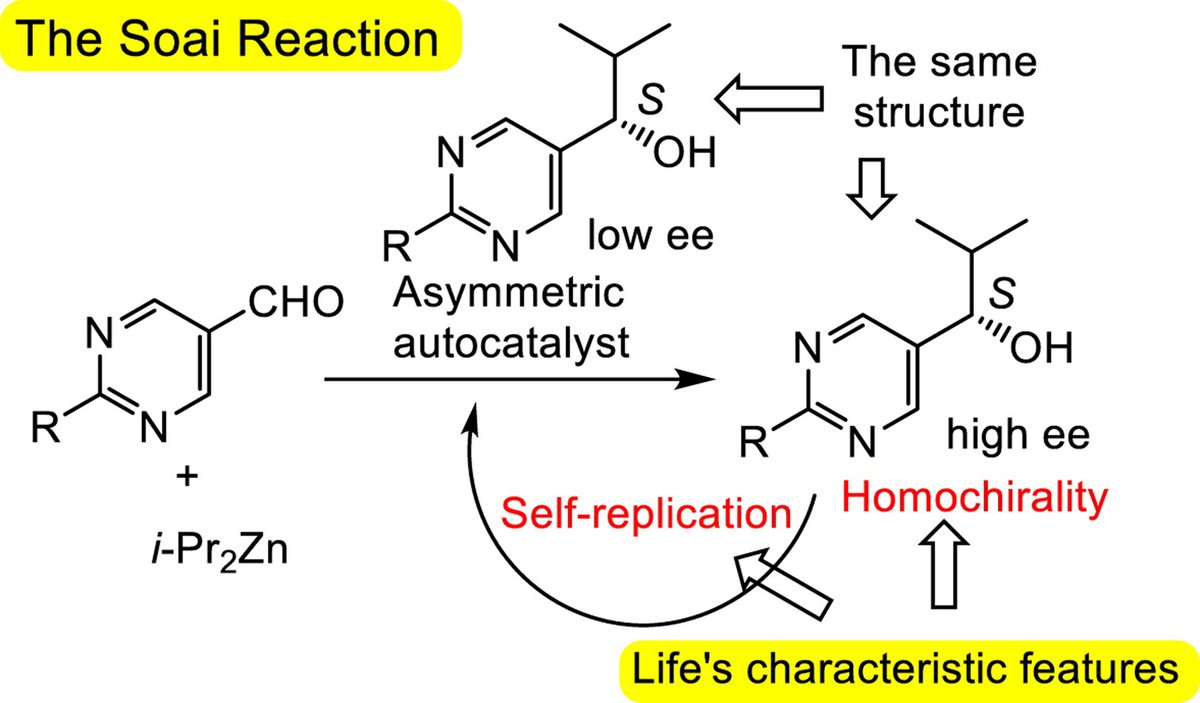TetrahedronChem's tweet photo. The legendary Kenso Soai shares his perspective on the shared characteristic features of life and those of asymmetric autocatalysis: self-replication and homochirality, by way of the Soai reaction
#homochirality #catalysis #SoaiReaction
https://t.co/yOiVjMyNOR https://t.co/2y451Ay7t1