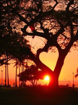 Mk Sohel (@mksohel14) on Twitter photo 