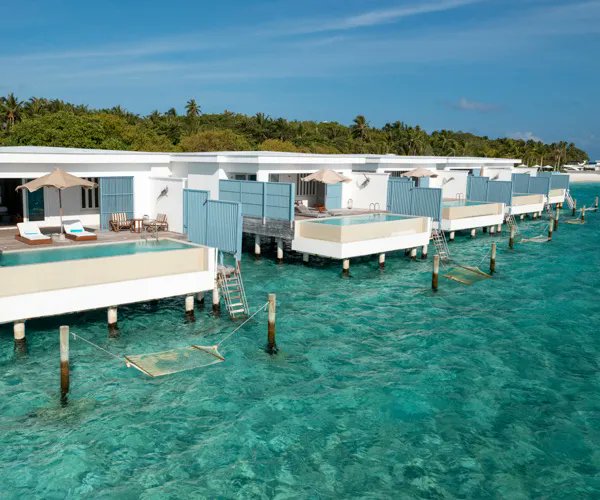 VeganHotels's tweet photo. #veganmaldives

Check out this vegan friendly luxury resort review of @amillamaldives 

https://t.co/hkrUL6Nr9T

#vegantravel #veganluxury https://t.co/U8m447Rc8q